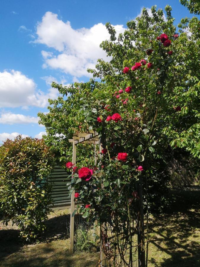 La Bastide Des Sources Appartamento Beaucaire  Esterno foto